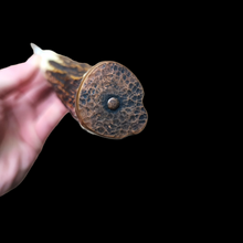 Load image into Gallery viewer, Craig Maher Shiro 2 Sakimaru 310mm