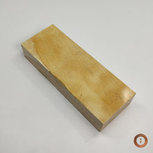 Load image into Gallery viewer, Mikawa Nagura #0005