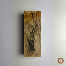 Load image into Gallery viewer, Mikawa Nagura #0009