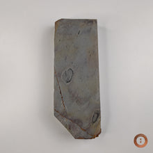 Load image into Gallery viewer, Shobudani Suita #001